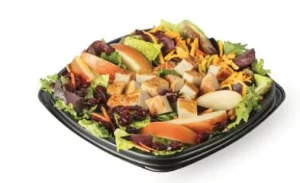 Apple & Cranberry Chicken Salad